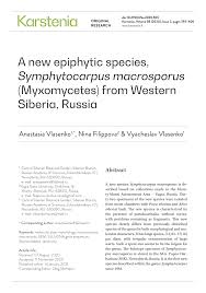 Attēlu rezultāti vaicājumam “Symphytocarpus flaccidus stalked”