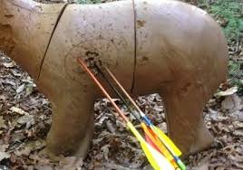 Image result for Hart Of Sherwood Archery Club