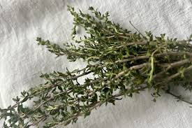 Image result for Thymian