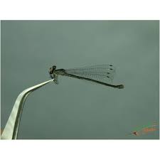 Attēlu rezultāti vaicājumam “Enallagma cyathigerum male”