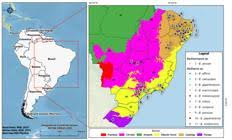 Attēlu rezultāti vaicājumam “Badhamiopsis macrospora spores”