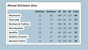 Image result for Durham City Badminton Club