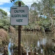 Image result for Seabrook Sea Anglers Association