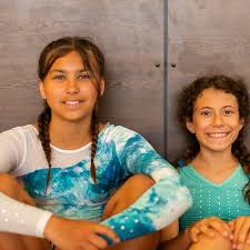 Image result for Lynx Gymnastics Club