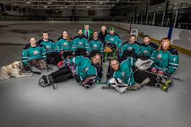 Image result for Wallingford Hockey Club