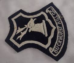 Image result for Buckhurst Hill Cricket & Lacrosse Club