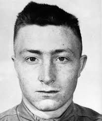 Image result for Gurke