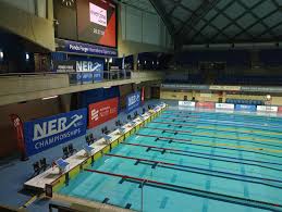 Image result for Ashington Swimming Club