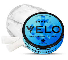 Image result for Louth Velo