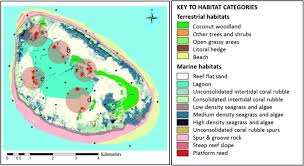 Image result for Albula glossodonta