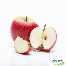 Attēlu rezultāti vaicājumam “Malus domestica”