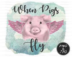 Image result for flying pigs