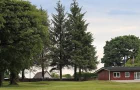 Image result for Drumpellier Cricket Club