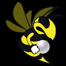 Image result for Stingers Korfball Club