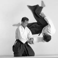 Image result for Bakewell Aikido Club