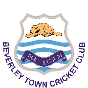 Image result for Welton Cricket Club