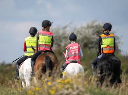 Image result for British Horse Society