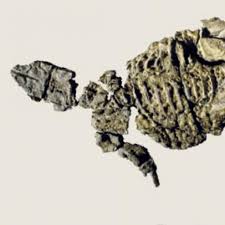 Image result for MINMI