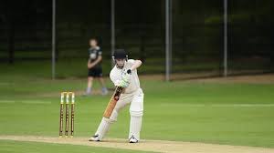 Image result for Knockin & Kinnerley Cricket Club