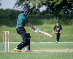 Image result for Saffron Walden Cricket Club
