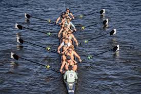 Image result for Cambridge Rhc