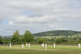 Image result for Wembdon Cricket Club