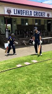 Image result for Lingfield Cricket Club