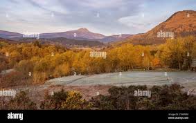 Image result for Aberfoyle Golf Club