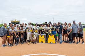Image result for Lions Softball Club