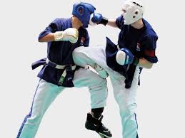 Image result for Yoseikan Budo England