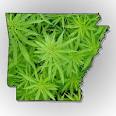 Marijuana Policy In Arkansas | The Weed Blog