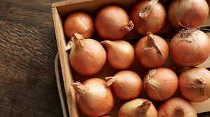 Image result for Zwiebeln