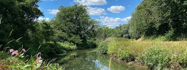 Image result for City Of London Piscatorial Society