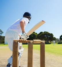 Image result for Dulwich Cricket Club