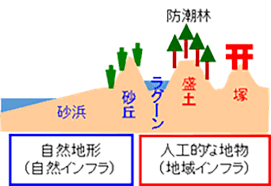 Image result for 高潮 津波 別物