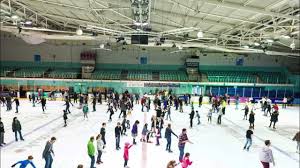 Image result for Guildford Ice Figure Skating Club