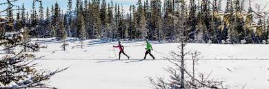 Image result for Scandinavian slope and cross country skiing