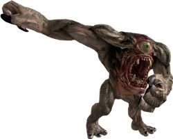 Image result for gnaar