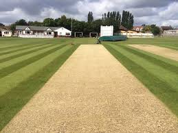 Image result for Chingford Cricket Club
