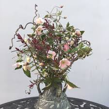 Attēlu rezultāti vaicājumam “Libanotis montana flower”