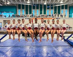 Image result for Appley Bridge Gymnastics Club