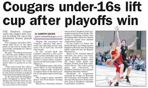 Image result for Henfield Heat Basketball Club