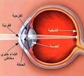  سبحـــ ثلاث مناطق بالجسم لا يصلها الدم ــــان الله Images?q=tbn:ANd9GcSFcBv5xp6qICEwHtrFIVxKPUgY2ASPeRHPucdVoGDMzmU_j8AVTmF1YQ