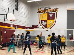 Image result for Aylesbury School Of Gymnastics