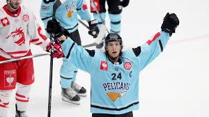 Image result for Pelicans Hockey Club