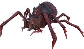 Attēlu rezultāti vaicājumam “Aranei”