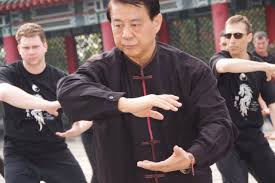 Image result for Hull Kung Fu