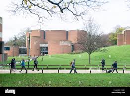 Image result for University Of Sussex