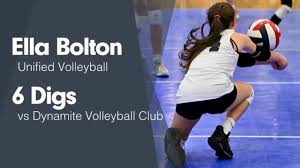 Image result for Bolton Volleyball Club