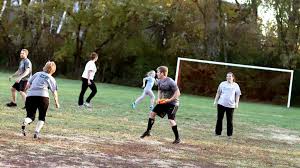 Image result for Herdings Park Football Club